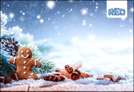 Merry Christmas from all at REO (UK) Ltd