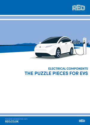 THE PUZZLE PIECES FOR EVS